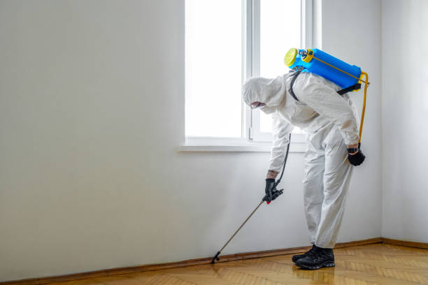 Professional Pest Control in Cedarville, OH